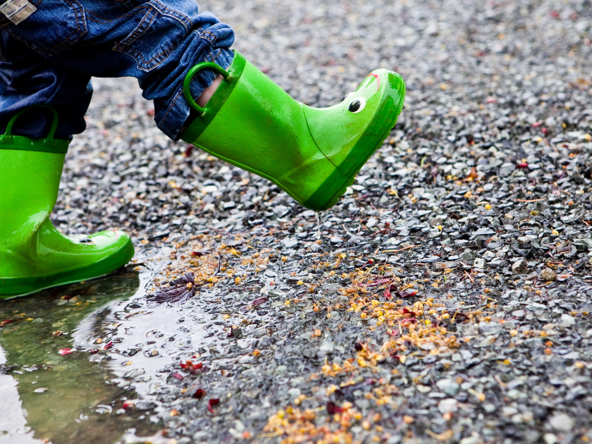 Earth Science Resources