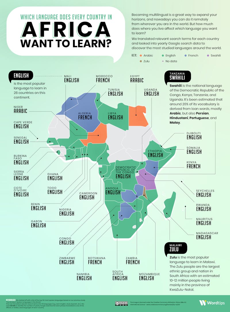 Most Popular Language in Africa Infographic