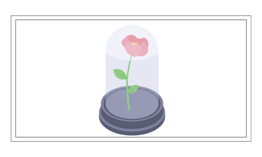 Symbolism: The Emojis of Literature - Literary Devices Explained - Grammar