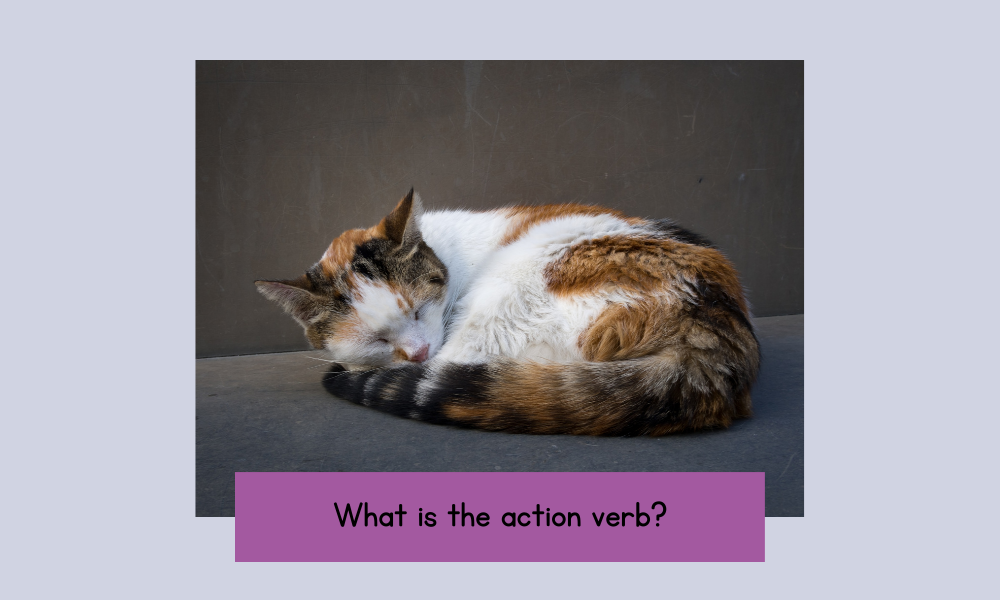 action verb worksheets for kids