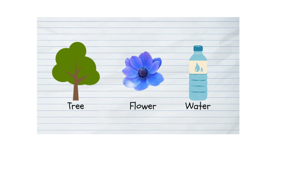 Nouns A Complete Guide With Examples Grammar