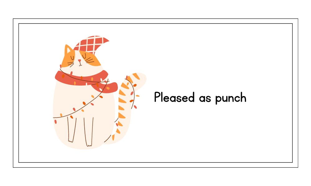 pleased as punch idiom example