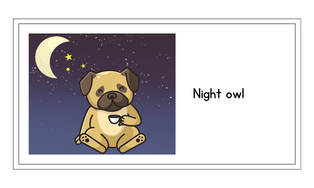 night owl idiom example