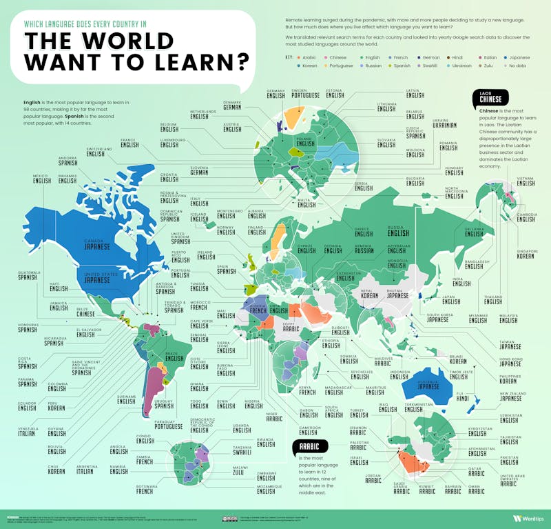 Most Popular Language Infographic