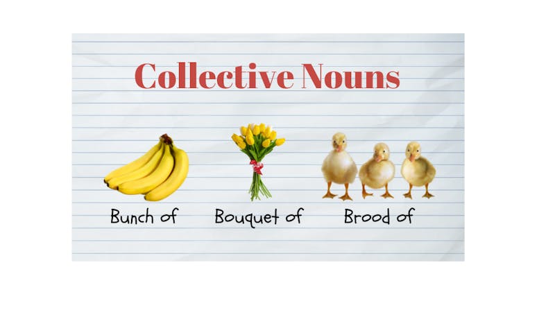 examples of collective nouns