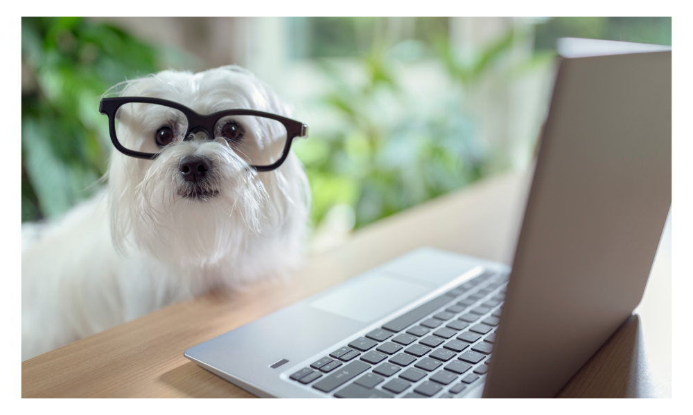 4th grade personification worksheets