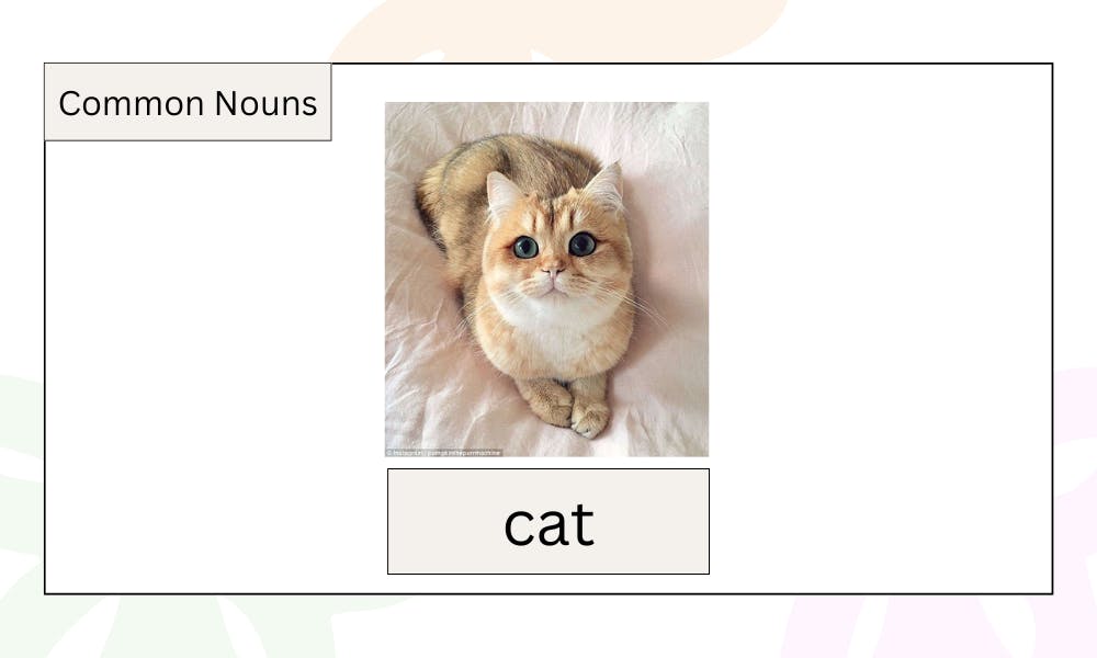 Kindergarten Noun Worksheets Grammar