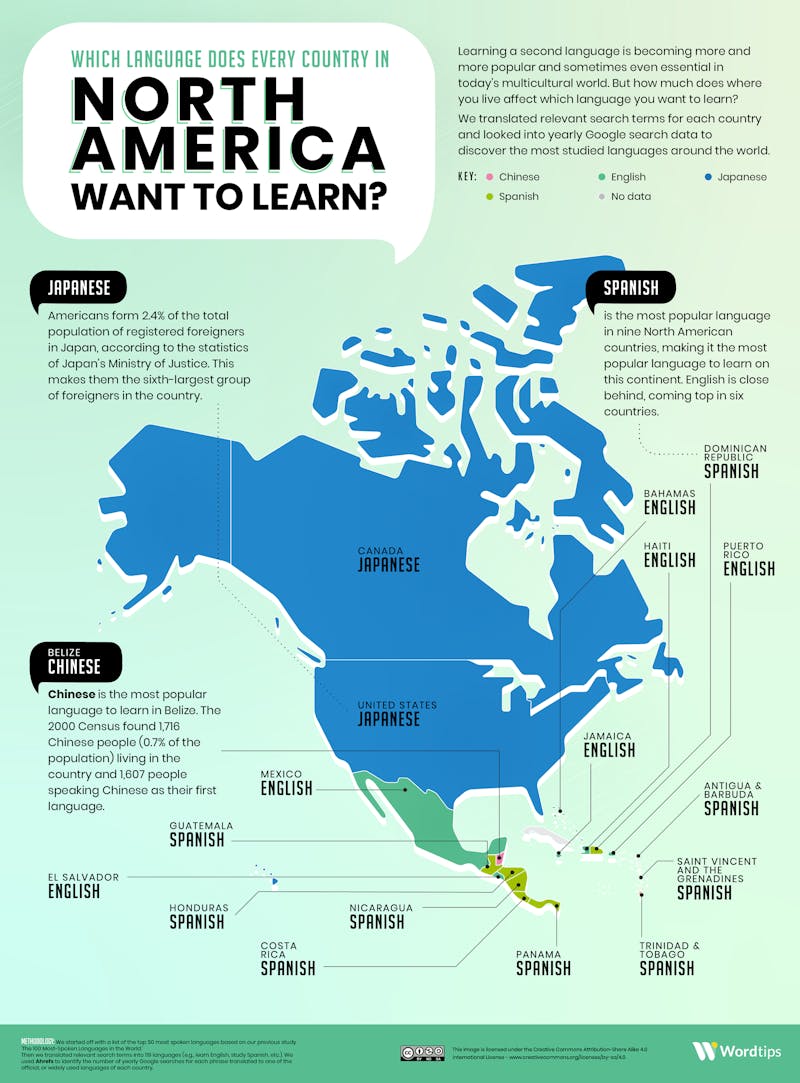 Most Popular Language in North America Infographic