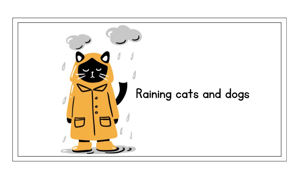 raining cats and dogs idiom example