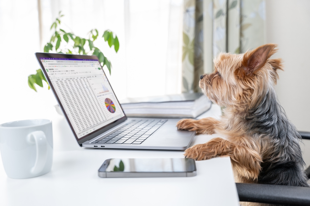 Personification for kids overview