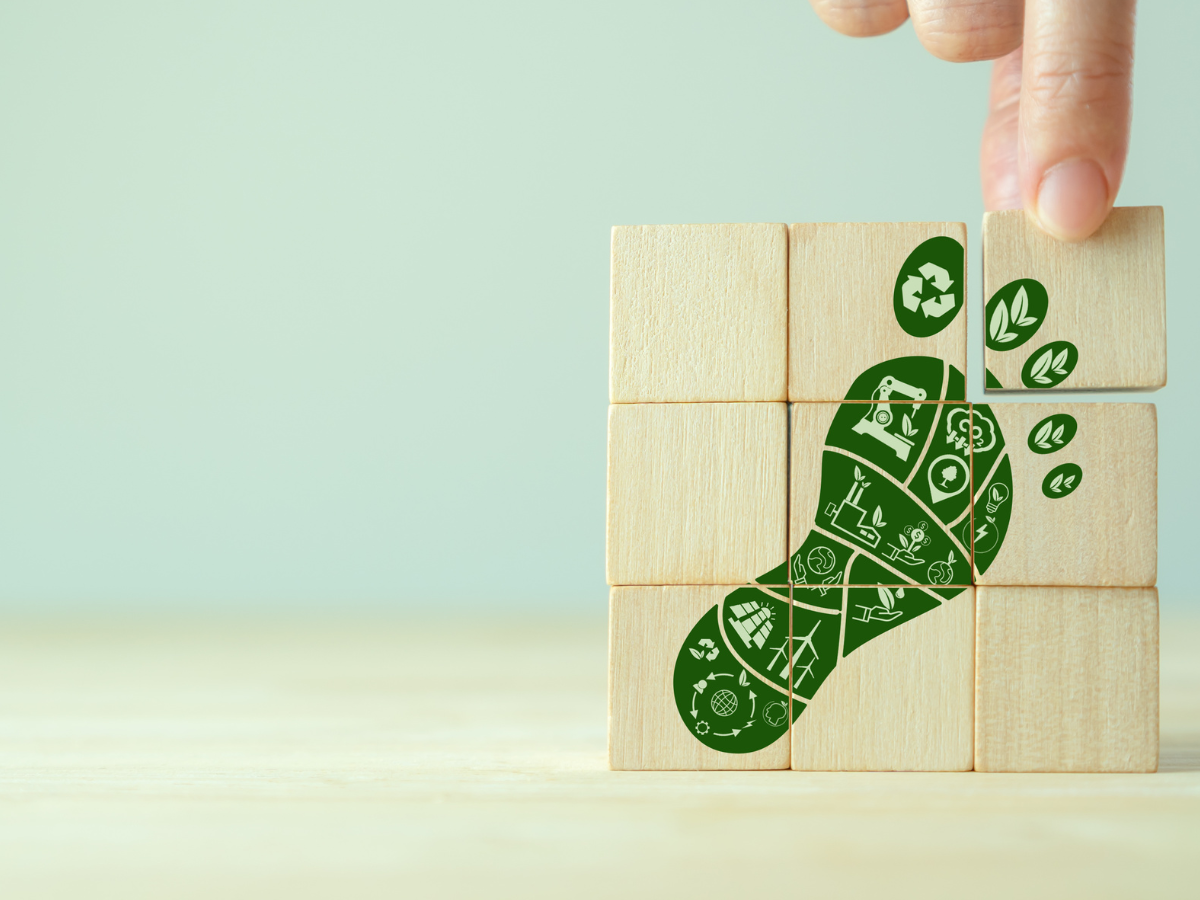 Earth Science and Our Carbon Footprints