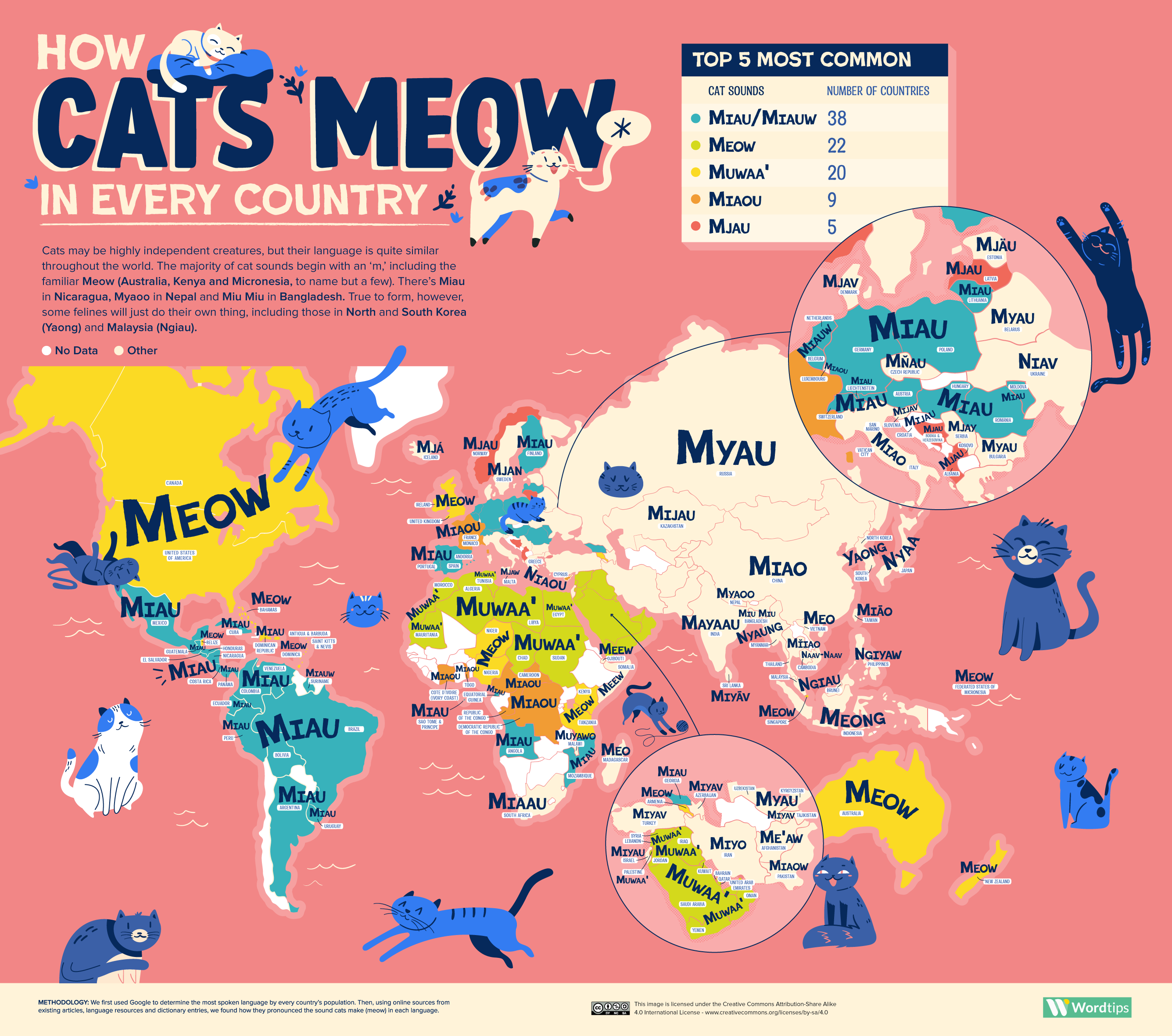 How Cats Meow in Every Country World Map