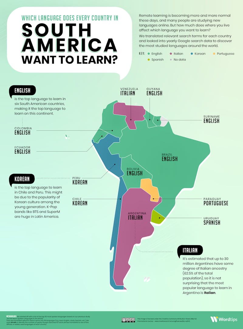 Most Popular Language in South America Infographic