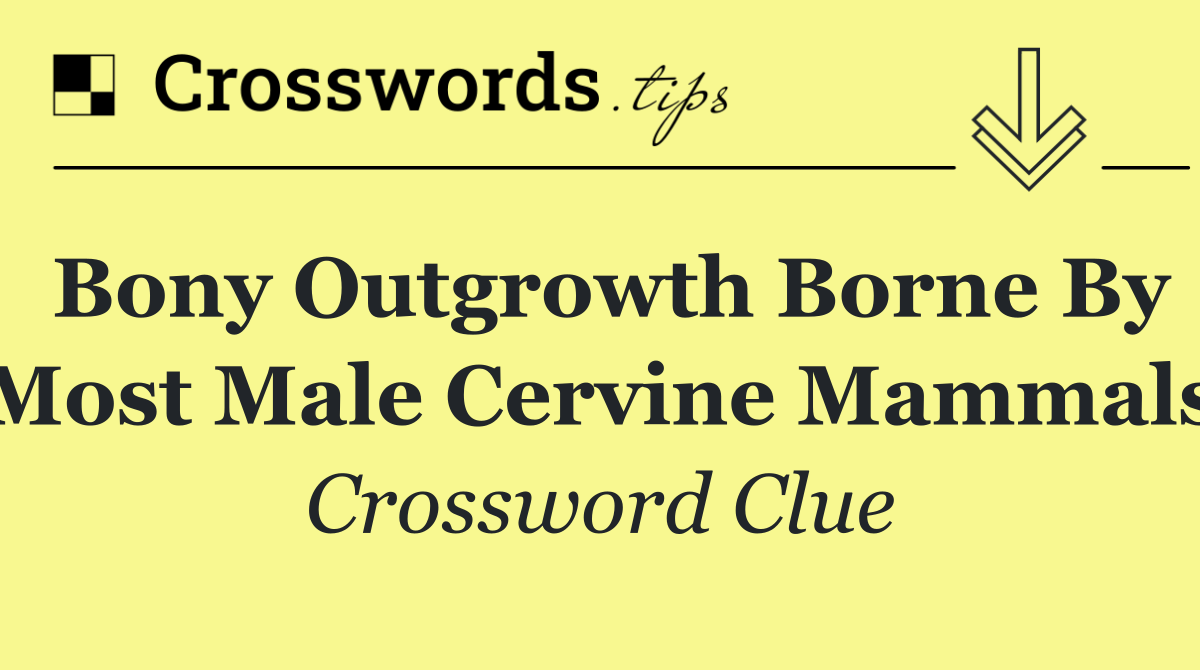 Bony outgrowth borne by most male cervine mammals