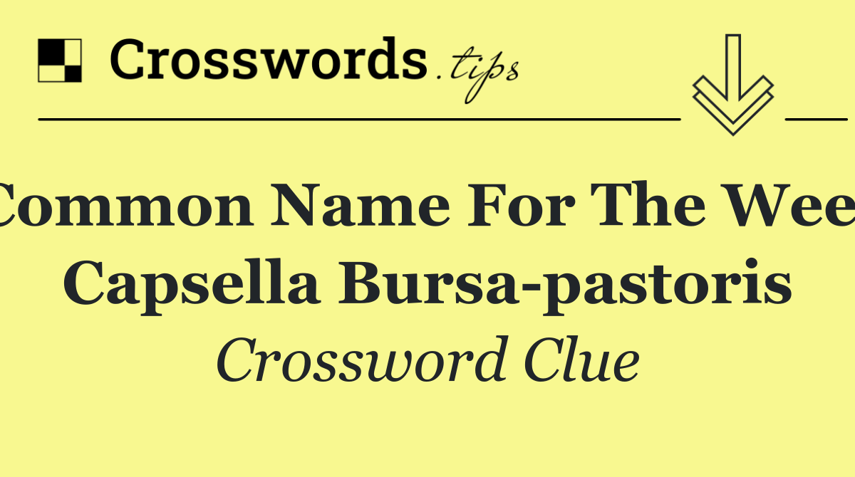 Common name for the weed Capsella bursa pastoris