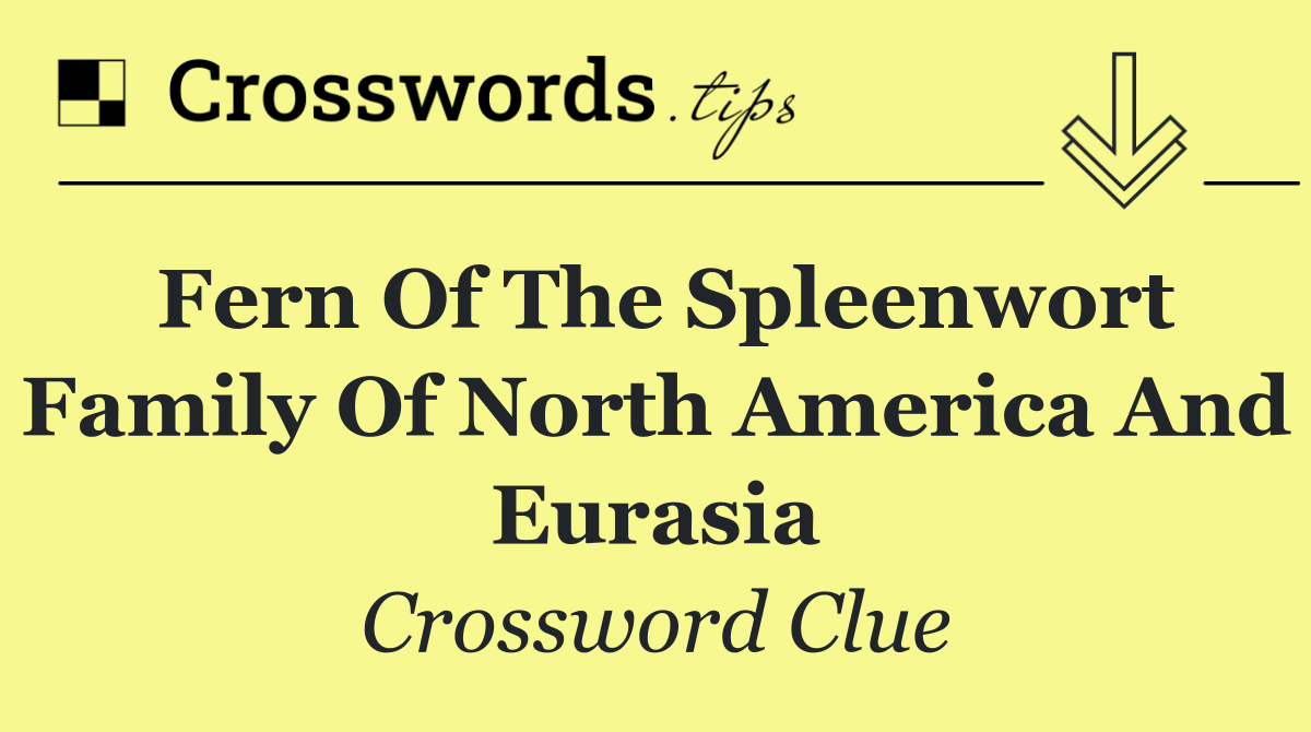 Fern of the spleenwort family of North America and Eurasia