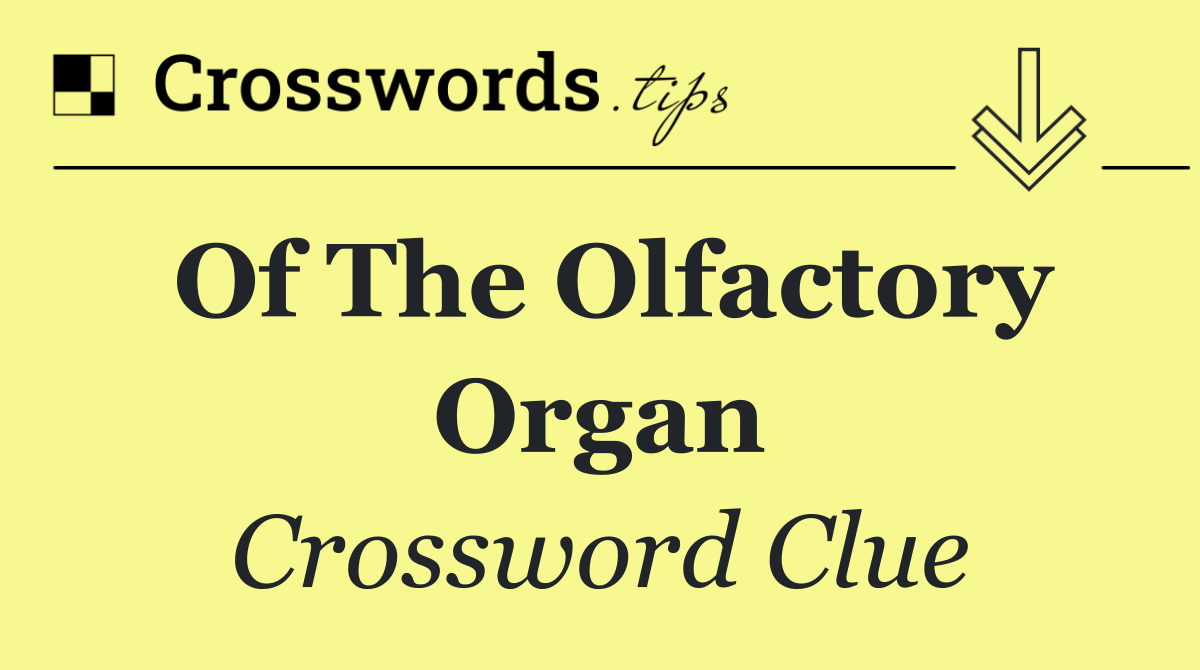 Of the olfactory organ