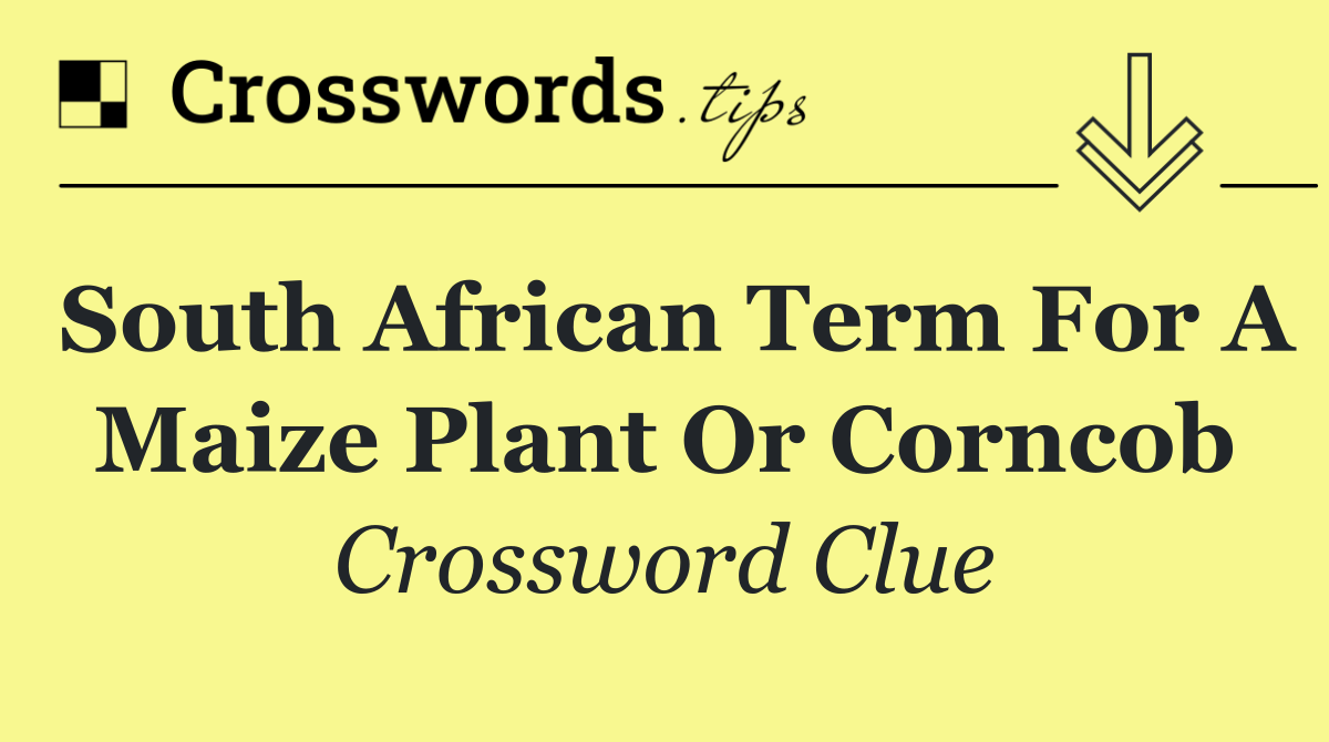 South African term for a maize plant or corncob