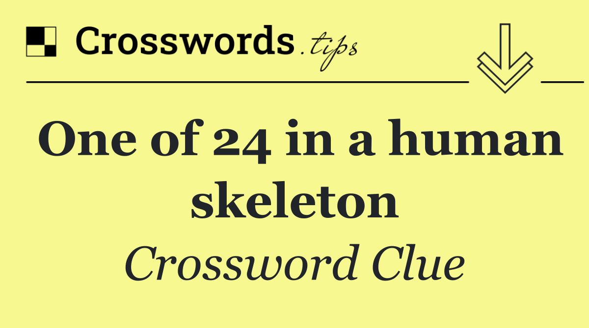 One of 24 in a human skeleton