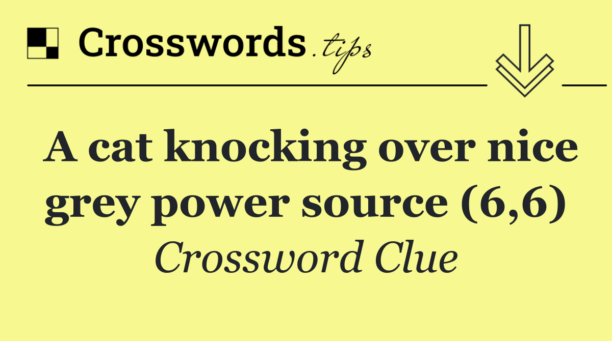 A cat knocking over nice grey power source (6,6)