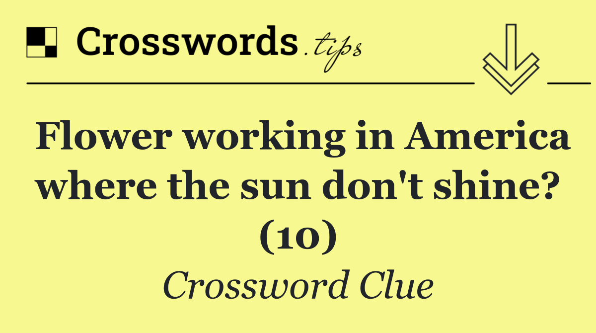 Flower working in America where the sun don't shine? (10)