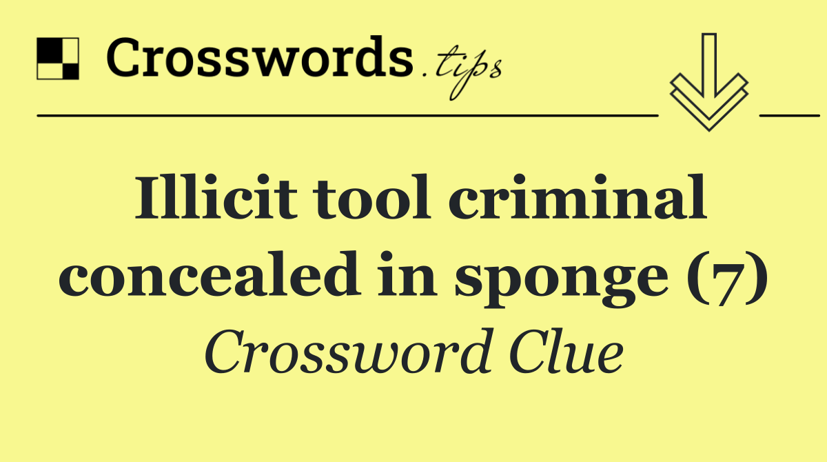 Illicit tool criminal concealed in sponge (7)