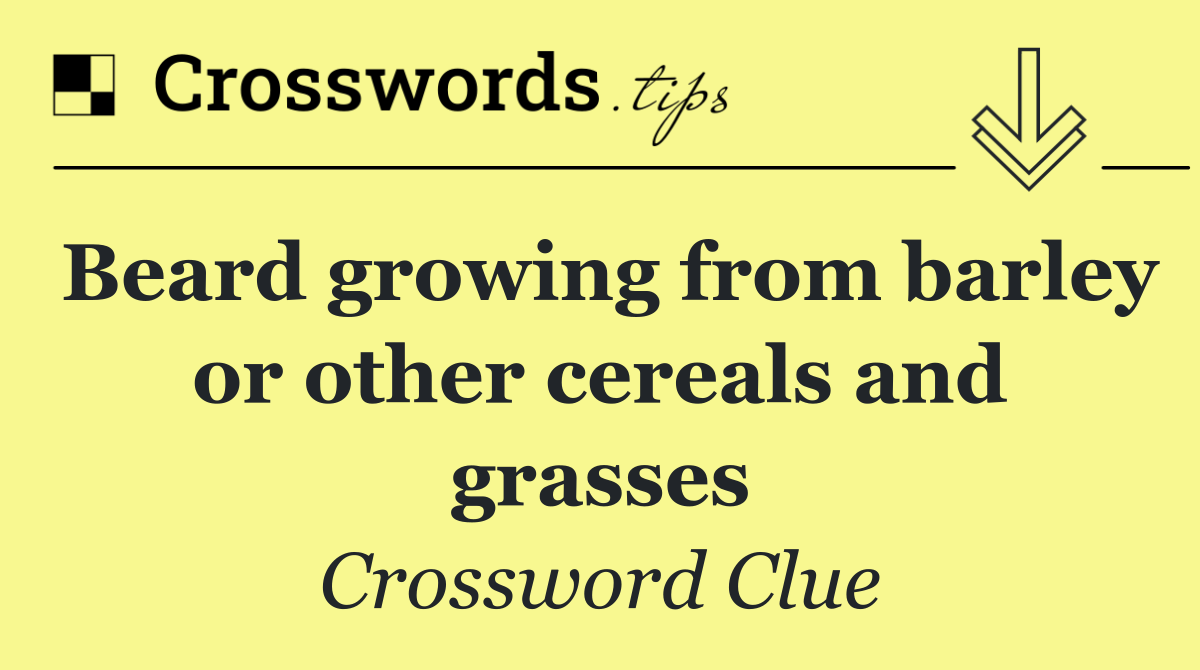 Beard growing from barley or other cereals and grasses