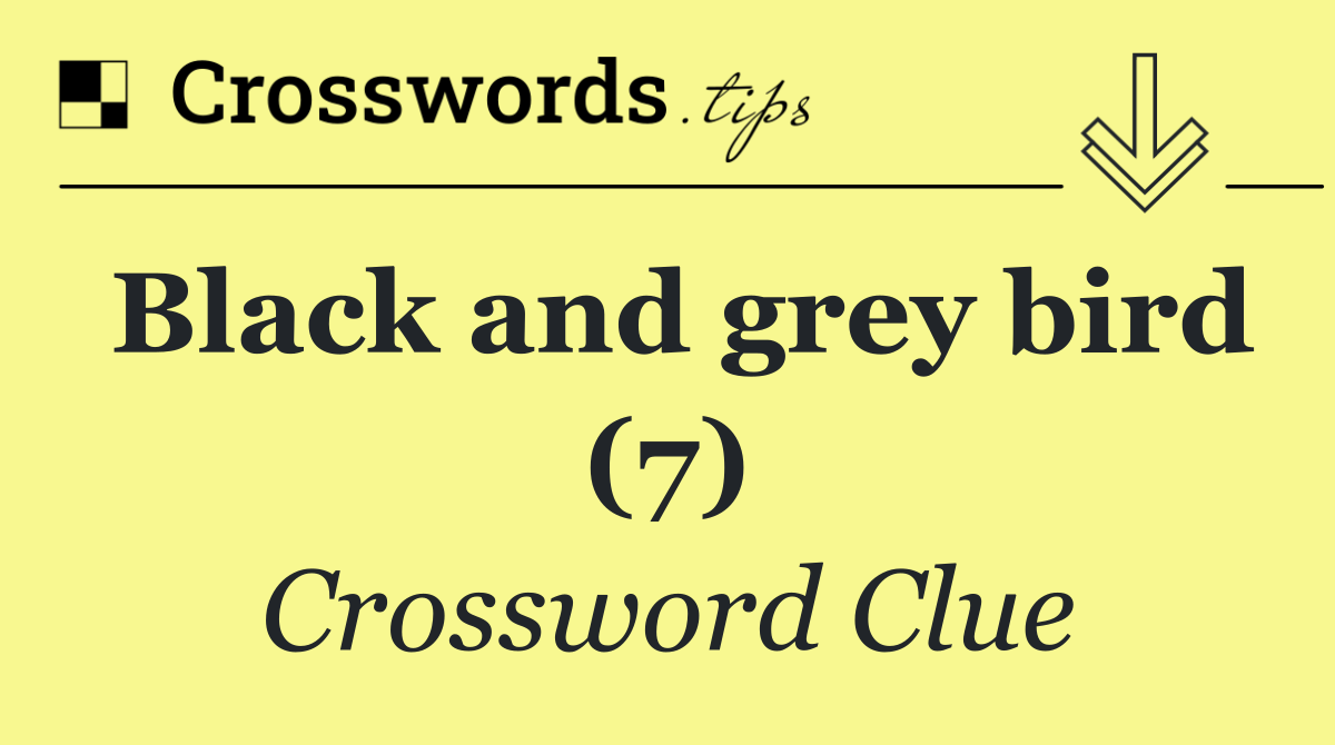 Black and grey bird (7)