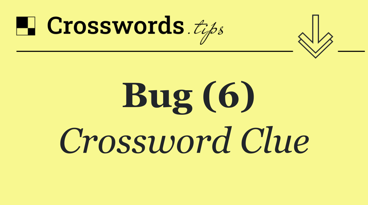 Bug (6)