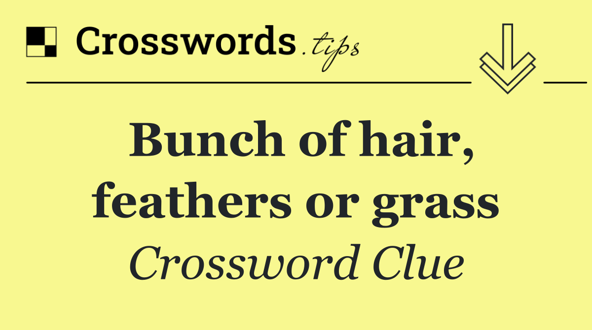 Bunch of hair, feathers or grass