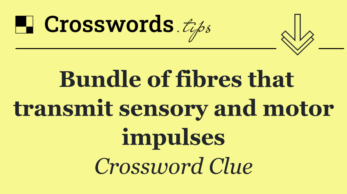 Bundle of fibres that transmit sensory and motor impulses