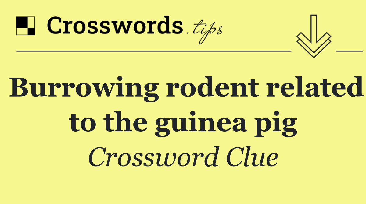 Burrowing rodent related to the guinea pig