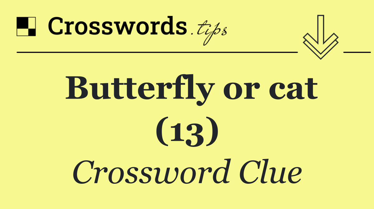 Butterfly or cat (13)