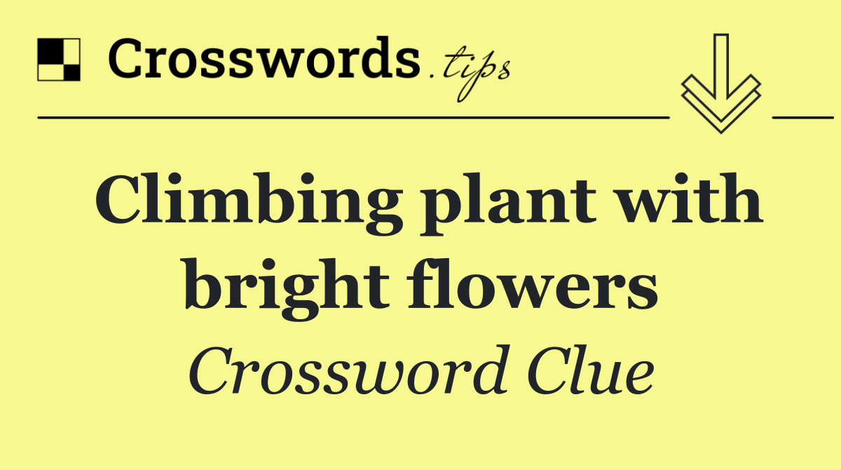 Climbing plant with bright flowers