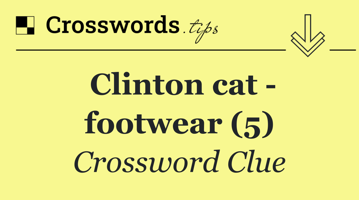 Clinton cat   footwear (5)