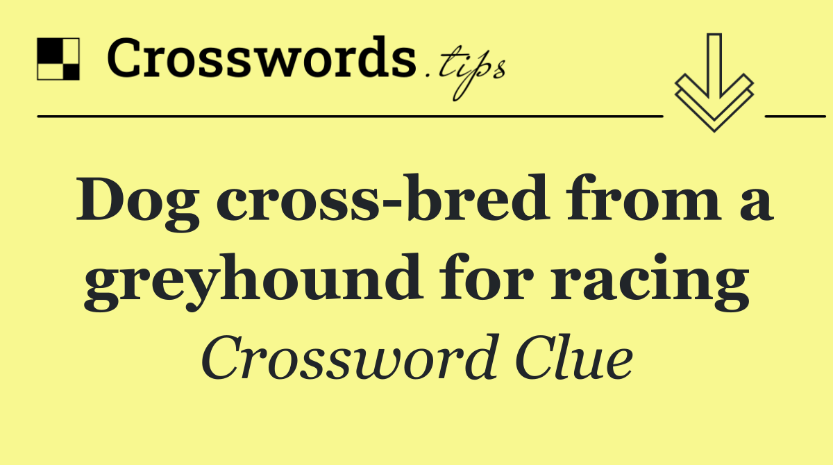 Dog cross bred from a greyhound for racing