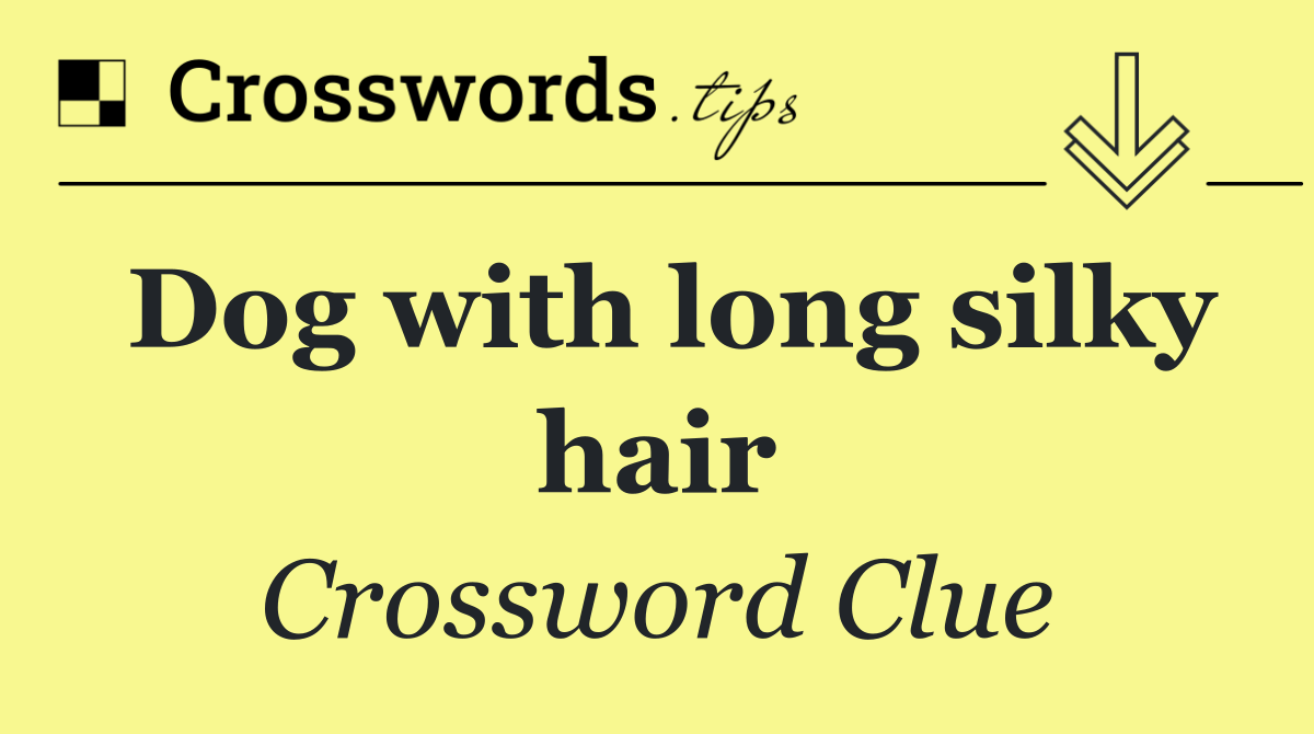 Dog with long silky hair