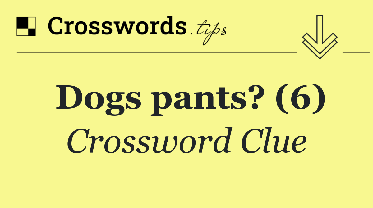 Dogs pants? (6)