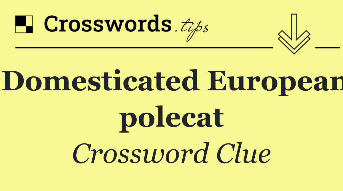 Domesticated European polecat