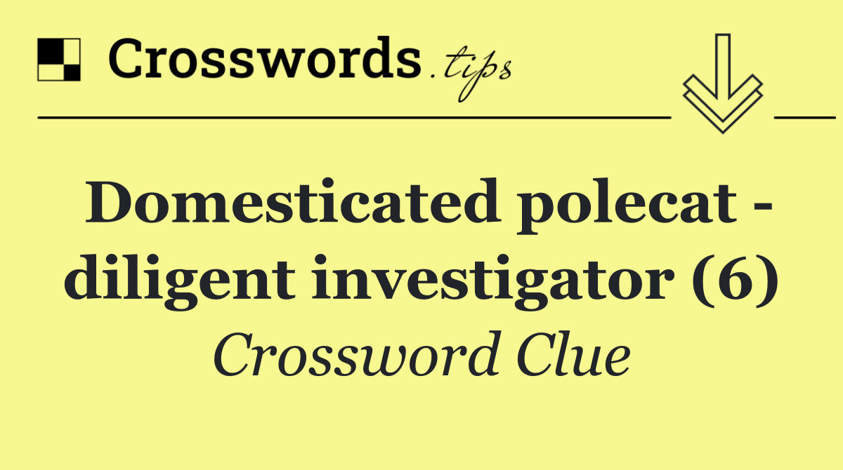 Domesticated polecat   diligent investigator (6)