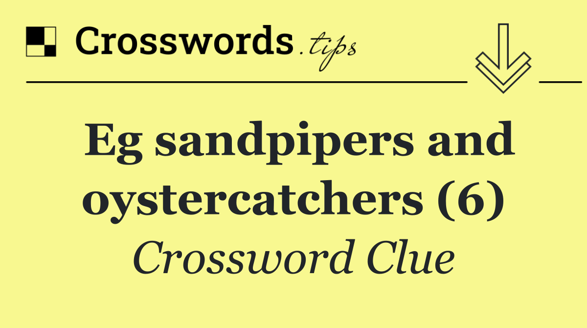 Eg sandpipers and oystercatchers (6)