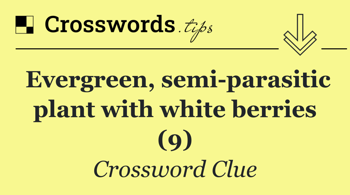 Evergreen, semi parasitic plant with white berries (9)