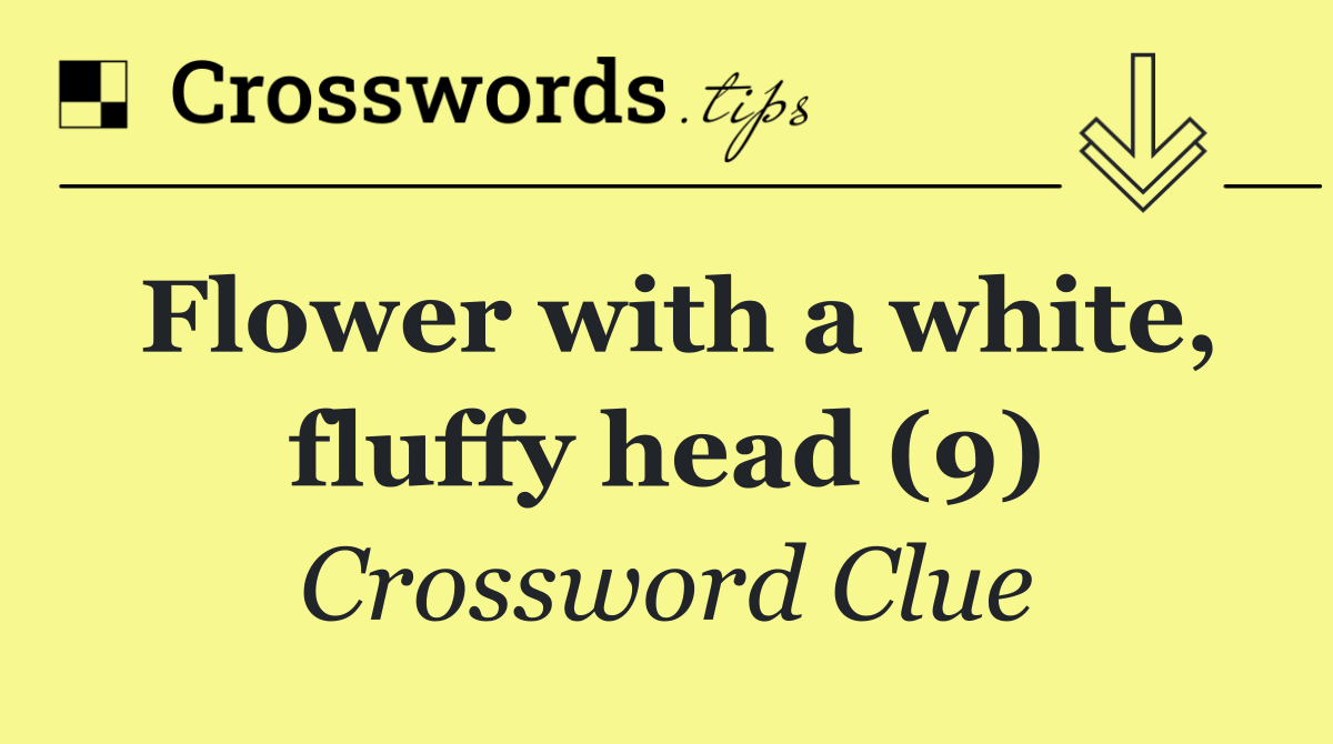 Flower with a white, fluffy head (9)