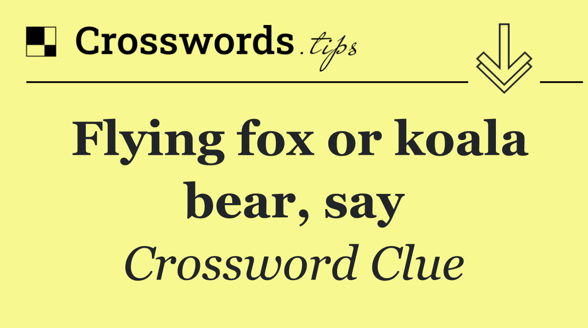 Flying fox or koala bear, say