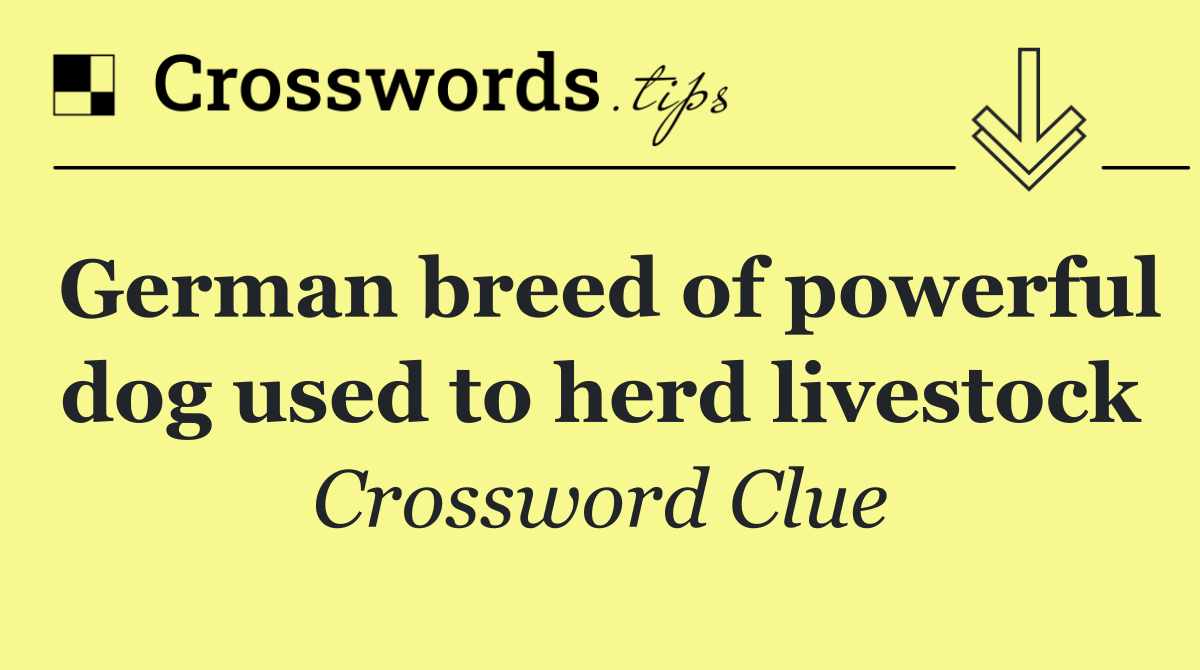 German breed of powerful dog used to herd livestock