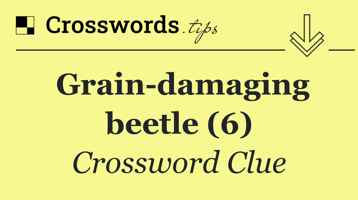 Grain damaging beetle (6)