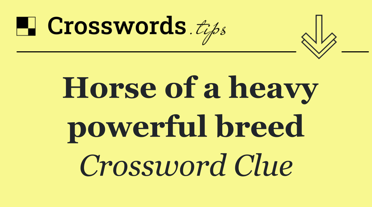 Horse of a heavy powerful breed