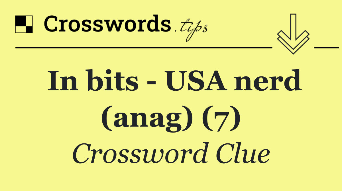 In bits   USA nerd (anag) (7)
