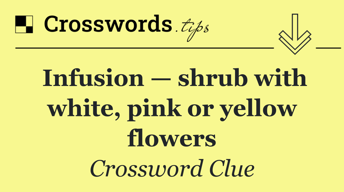 Infusion — shrub with white, pink or yellow flowers