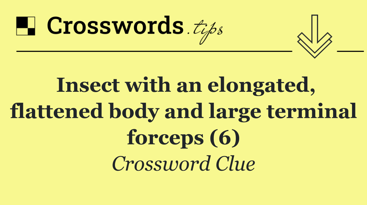 Insect with an elongated, flattened body and large terminal forceps (6)